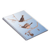 Dunkel-Mit Augen Junco Audubon-Schneebären auf der Notizblock (Rechte Seite)