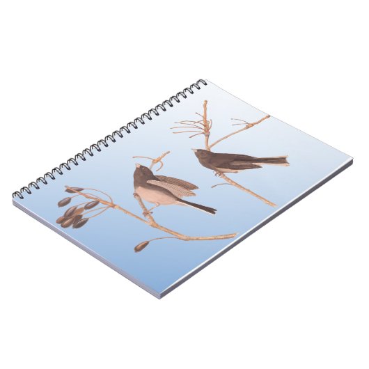 Dunkel-Mit Augen Junco Audubon-Schneebären auf der Notizblock (Linke Seite)