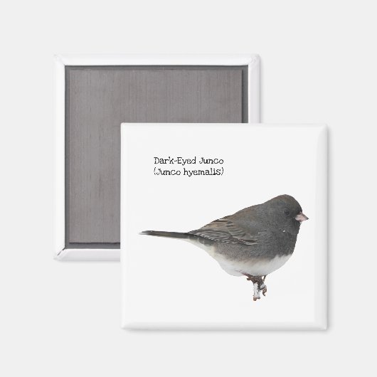 dunkel-Mit Augen Junco Magnet (Vorderseite/Rückseite)