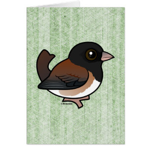 Dunkel-mit Augen Junco (Oregon)