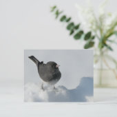 dunkel-mit Augen Junco Postkarte (Stehend Vorderseite)