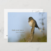 dunkel-mit Augen Junco Postkarte (Vorne/Hinten)