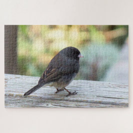 dunkel-mit Augen Junco Puzzle