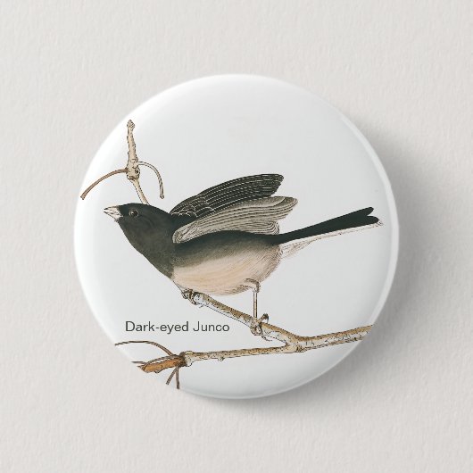 Dunkel-mit Augen Junco, schieferfarbener Audubon B Button (Vorderseite)