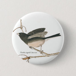Dunkel-mit Augen Junco, schieferfarbener Audubon B Button