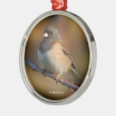 Dunkel-Mit Augen Junco Songbird an der Limbe Silbernes Ornament (Links)