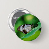 Dunkelbraun und Grauschmetterling Button (Vorne & Hinten)