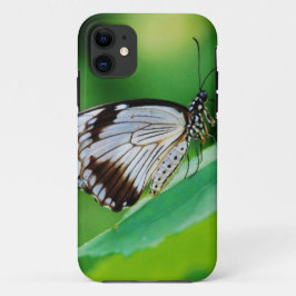 Dunkelbraun und Grauschmetterling Case-Mate iPhone Hülle