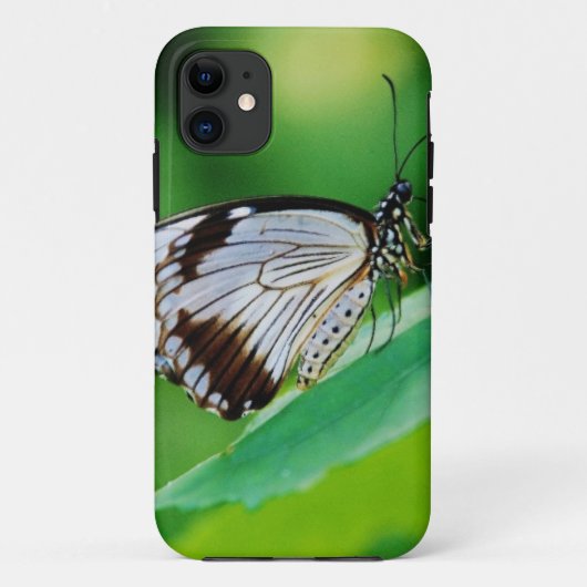 Dunkelbraun und Grauschmetterling Case-Mate iPhone Hülle (Rückseite)