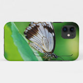 Dunkelbraun und Grauschmetterling Case-Mate iPhone Hülle (Rückseite (Horizontal))