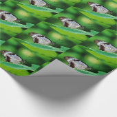 Dunkelbraun und Grauschmetterling Geschenkpapier (Ecke)