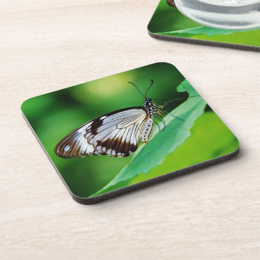 Dunkelbraun und Grauschmetterling Getränkeuntersetzer (Linke Seite)