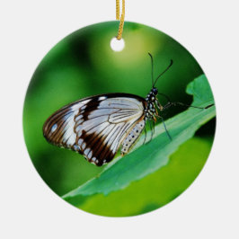 Dunkelbraun und Grauschmetterling Keramik Ornament