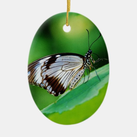 Dunkelbraun und Grauschmetterling Keramikornament (Vorne)