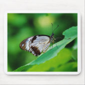 Dunkelbraun und Grauschmetterling Mousepad (Vorne)