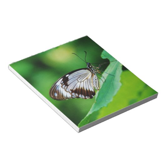 Dunkelbraun und Grauschmetterling Notizblock (angewinkelt)