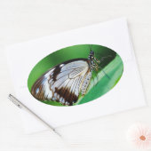 Dunkelbraun und Grauschmetterling Ovaler Aufkleber (Umschlag)