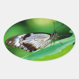 Dunkelbraun und Grauschmetterling Ovaler Aufkleber