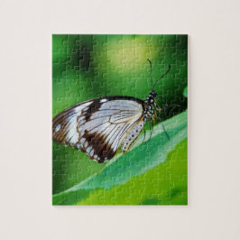 Dunkelbraun und Grauschmetterling Puzzle
