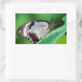 Dunkelbraun und Grauschmetterling Rechteckiger Aufkleber (Tasche)