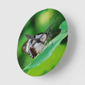 Dunkelbraun und Grauschmetterling Runde Wanduhr (Winkel)