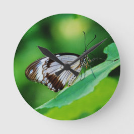 Dunkelbraun und Grauschmetterling Runde Wanduhr