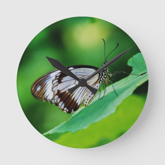 Dunkelbraun und Grauschmetterling Runde Wanduhr (Vorderseite)
