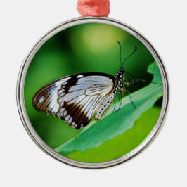 Dunkelbraun und Grauschmetterling Silbernes Ornament