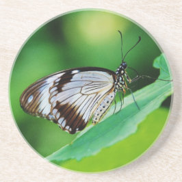 Dunkelbraun und Grauschmetterling Untersetzer