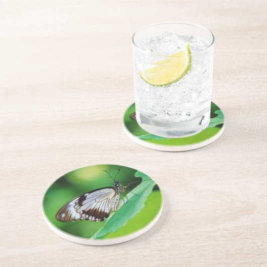 Dunkelbraun und Grauschmetterling Untersetzer (Seite)