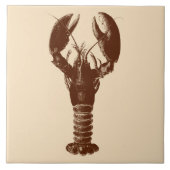 Dunkelbraune Hummer auf hellbeige Fliese (Vorderseite)