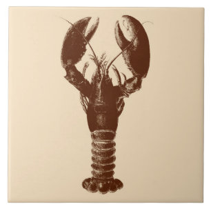 Dunkelbraune Hummer auf hellbeige Fliese