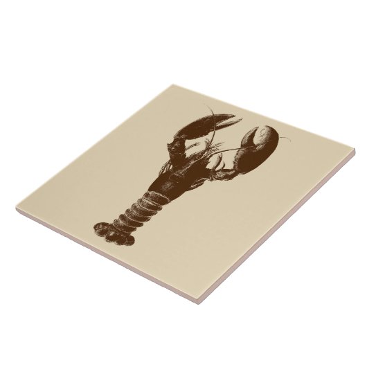 Dunkelbraune Hummer auf hellbeige Fliese (Seite)