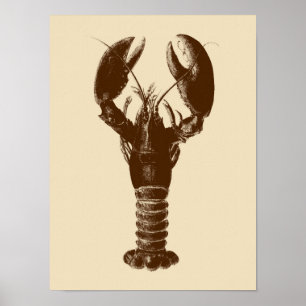 Dunkelbraune Hummer auf hellbeige Poster