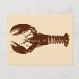 Dunkelbraune Hummer auf hellbeige Postkarte