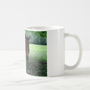 Dunkelbraune Pferde auf der Weide Kaffeetasse