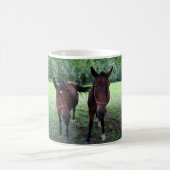 Dunkelbraune Pferde auf Weide Kaffeetasse (Mittel)