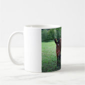 Dunkelbraune Pferde auf Weide Kaffeetasse (Links)