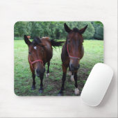Dunkelbraune Pferde auf Weide Mousepad (Mit Mouse)