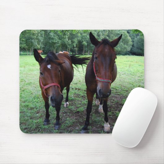 Dunkelbraune Pferde auf Weide Mousepad (Mit Mouse)