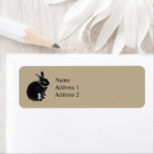 Dunkelbraune und weiße Mini-Rex-Kaninchen (Insitu)