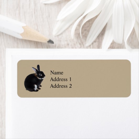 Dunkelbraune und weiße Mini-Rex-Kaninchen (Insitu)