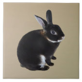 Dunkelbraune und weiße Mini-Rex-Kaninchen Fliese (Vorderseite)