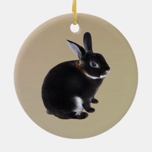 Dunkelbraune und weiße Mini-Rex-Kaninchen Keramik Ornament (Hinten)