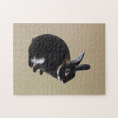 Dunkelbraune und weiße Mini-Rex-Kaninchen Puzzle (Horizontal)