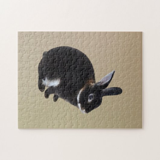 Dunkelbraune und weiße Mini-Rex-Kaninchen Puzzle (Horizontal)