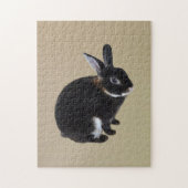 Dunkelbraune und weiße Mini-Rex-Kaninchen Puzzle (Vertikal)