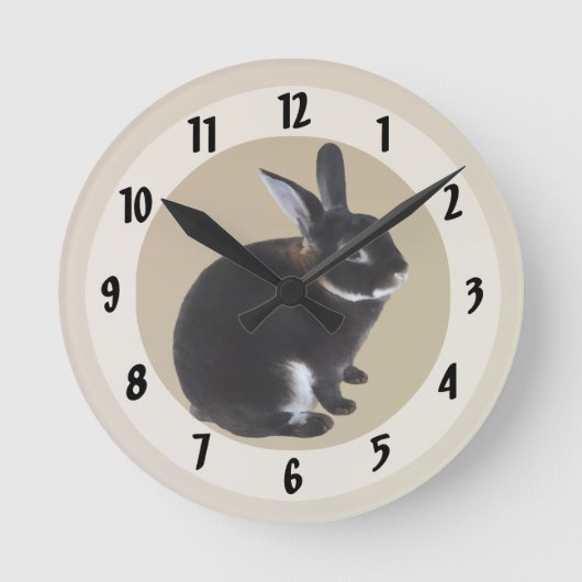Dunkelbraune und weiße Mini-Rex-Kaninchen Runde Wanduhr (Vorderseite)