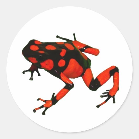 DUNKELFELDER, FROGSTICKER RUNDER AUFKLEBER (Vorderseite)