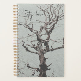 Dunkelgeflechteter Wetterbaum auf Blue Lake Planne Planer